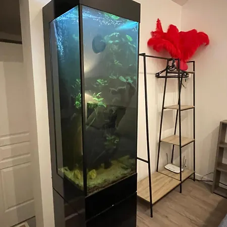 Un Cocoon Spacieux Daire Les Essarts-le-Roi